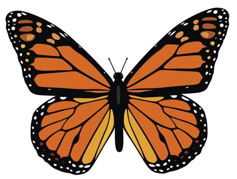 Monarch Butterfly Template - Cliparts.co