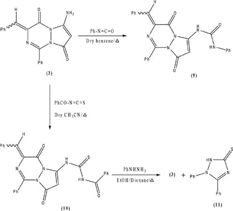 Scheme 5. Reactions of 3 with phenyl isocyanate and benzoyl ...