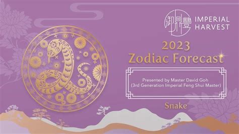 2023 Zodiac Forecast - Snake - YouTube