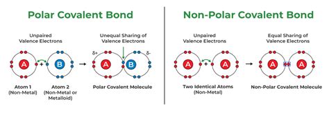 How To Determine The Most Polar Covalent Bond