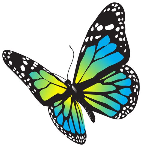 Butterfly Clip Art With Transparent Background | Images and Photos finder