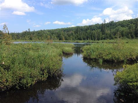 Wetlands, Marshes and Swamps - Pictured Rocks National Lakeshore (U.S ...