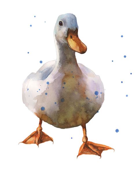 Waddling White Duck Painting by Alison Fennell