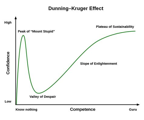 Dunning Kruger Graph: Understanding Dunning Kruger Effect