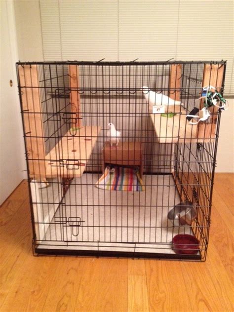 Dog Kennel Set Up In Garage : Dog Indoor Facility | inasorhan.github.io