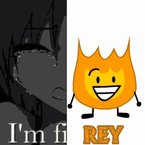 Im Firey Bfdi GIF - Im Firey Firey Bfdi - Descubre & Comparte GIFs ...