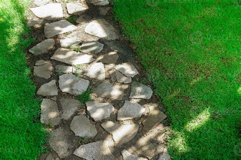 Texture of sidewalk concrete floor and grassy design,Stone walkway with ...