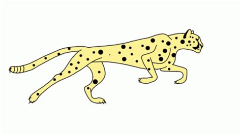 Running Cheetah Animation Gif