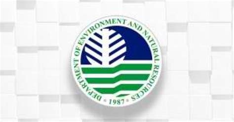 Chainsaw registration remains suspended: DENR-2 | Philippine News Agency