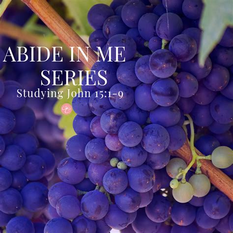 Abide In Me Blog Series — Cherishedflight