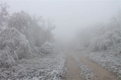 Freezing Fog Blankets Forest and Creates Surreal Frozen Landscape