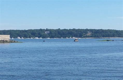 Advisory Against Bathing at 66 Suffolk County Beaches | LongIsland.com