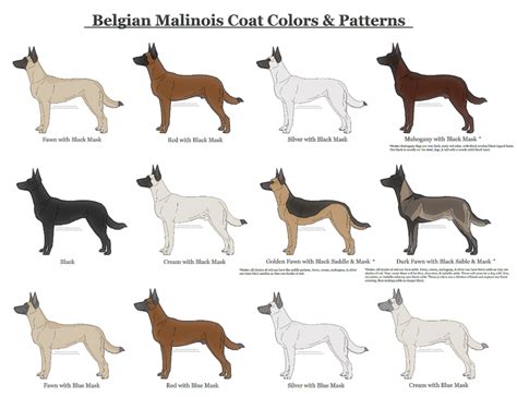 Belgian Malinois Coat Colors and Patterns by xLunastarx on DeviantArt ...