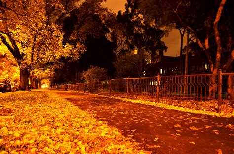 Autumn Night | phunnyfotos | Flickr