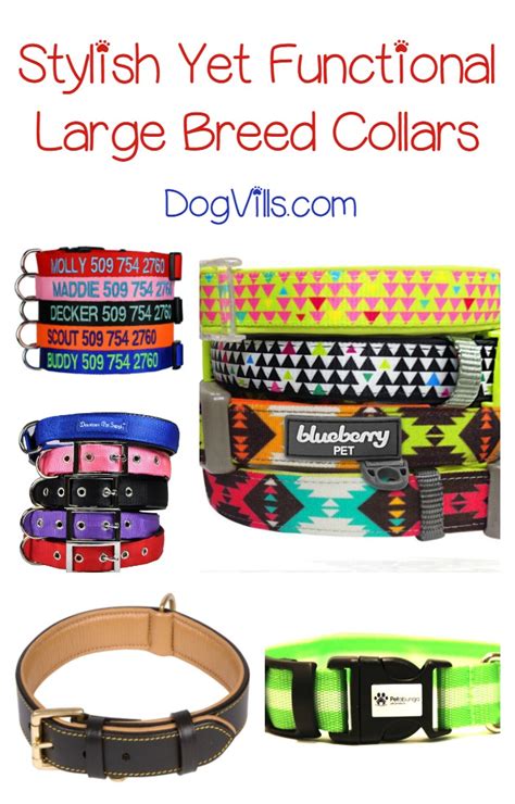 Best Large Breed Collars for Your Dog