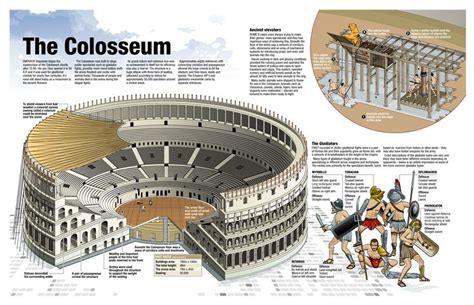 Colosseum by Ninian Carter | Ancient rome, Roman architecture, Roman ...