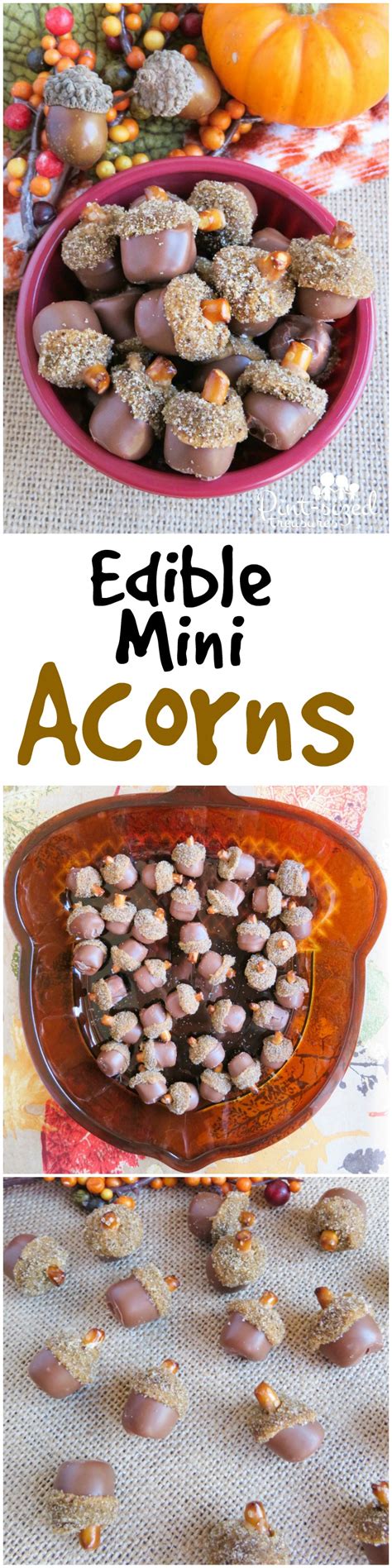 Adorable, simple and soooo yummy! These edible mini acorns are almsot ...