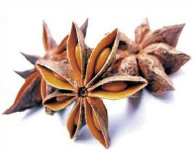 Star Anise Pods Manufacturer in Delhi Delhi India by Kerala Spices ...