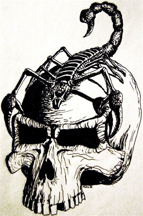 Scorpion Skull | Scorpio art, Skull, Graffiti wallpaper