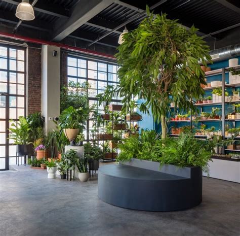 NYC’s plant-filled Greenery Unlimited is “world’s first Biophilic ...