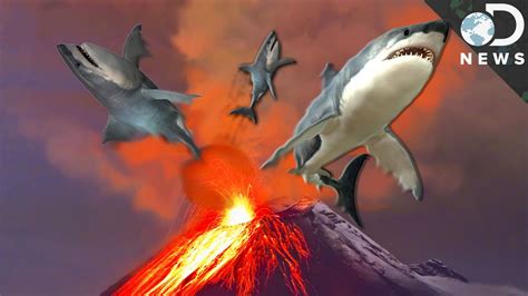 6 Insane Animals That Live In Volcanos - YouTube