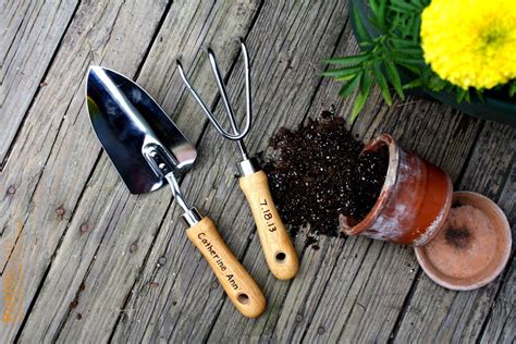 10 Amazing Dollar Store Gardening Tools - The Budget Diet