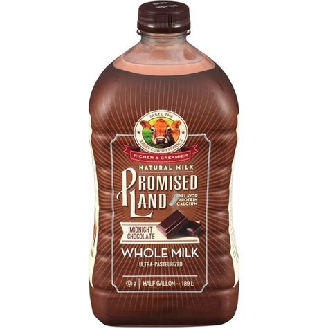 Promised Land Dairy Midnight Chocolate Whole Milk (0.5 gal) - Instacart