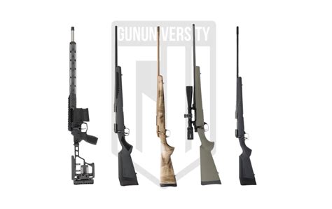 7 Best Hunting Rifles of 2024: What Setup is Right for You?