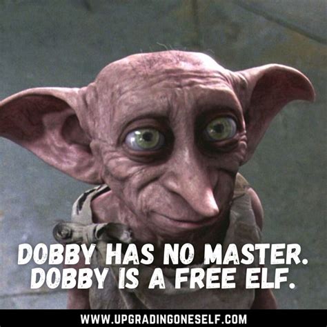 Top 17 Beautiful Quotes From Dobby That Are Heart-Touching