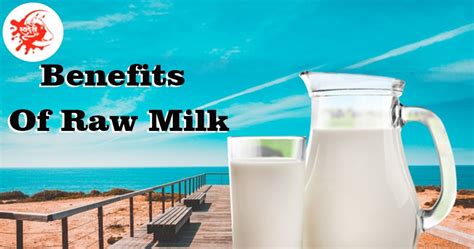 Benefits Of Raw Milk: Improves Digestion, Maintains Bone Health & More