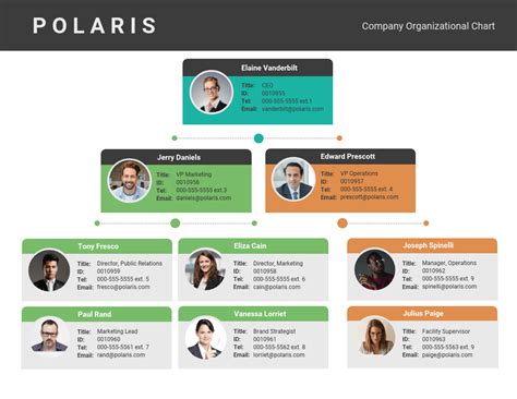 12+ Organizational Chart Examples & Templates - Venngage | Blog Hồng