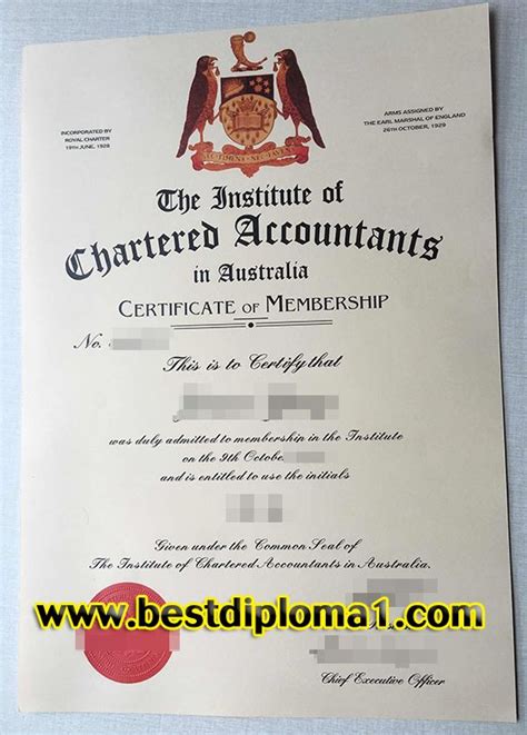 Institute of Chartered Accountants in Australia certificate | Chartered ...