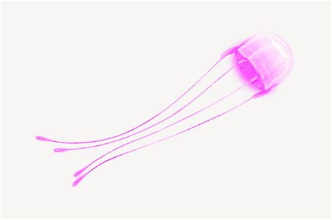 Neon pink jellyfish animal illustration, | Premium Photo Illustration ...