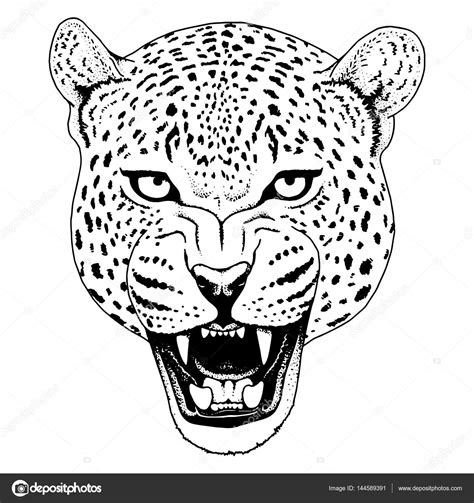 Leopard Face Drawing at GetDrawings | Free download