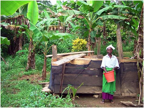 Pigsty protected with insecticide-treated net in Kwesikonfo. | Download ...