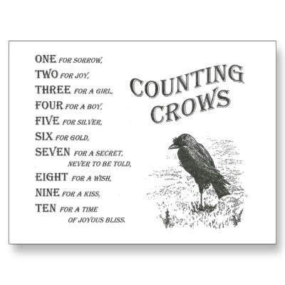 59+ Crow Gifts on Zazzle | Counting crows, Crow, Rhymes