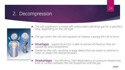 Cell disruption methods