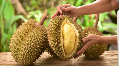 11 Buah Tropis Paling Populer di Indonesia | Mealy