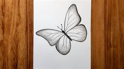 How to draw beautiful butterfly | Pencil sketch for beginners | Karabi ...