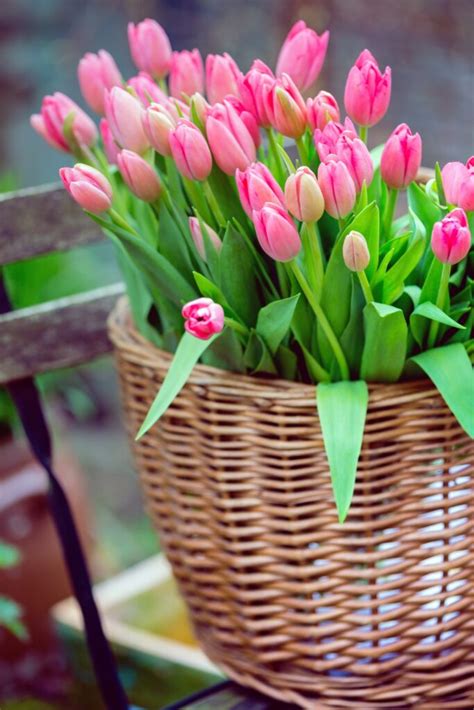 Beautiful Tulip Arrangements from Store Flowers - Town & Country Living