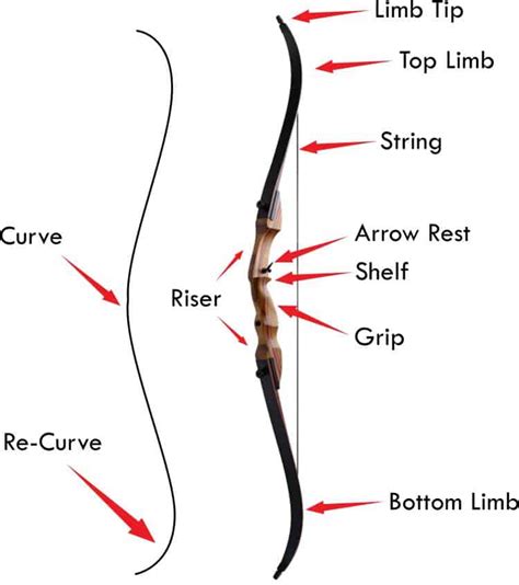 What bow types are available to the archer and hunter? » targetcrazy.com