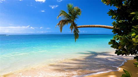 Island Relaxation: Tropical Beach Ambience & Ocean Sounds For Deep ...