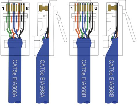 Cat 5 Cable Connector Wiring Diagram Cat5 Keystone Wiring Diagram ...