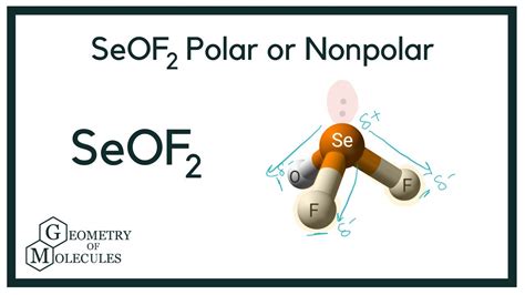 SeOF2 Polar or Non-polar (Selenium oxyfluoride) - YouTube