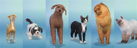 Breeds in The Sims 4 Cats and Dogs - Sims Online