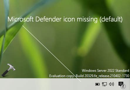 How to hide windows defender icon - litoduo