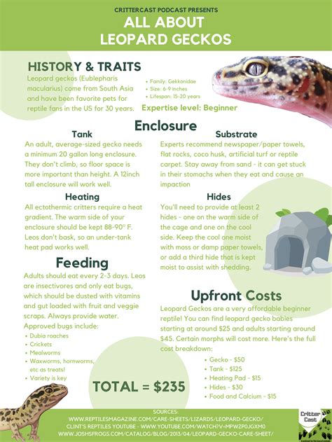 Leopard Gecko Care Sheet Uk