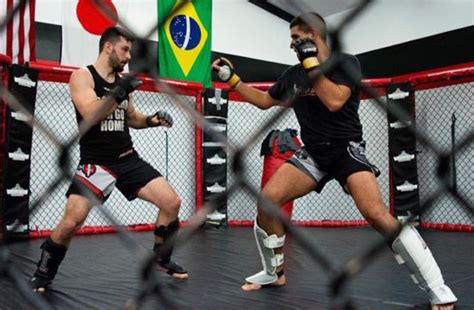 Free Mma Training Workouts