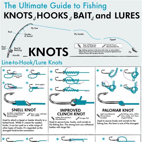 The Ultimate Guide to Fishing Knots, Hooks, Bait, and Lures | HMY Yachts