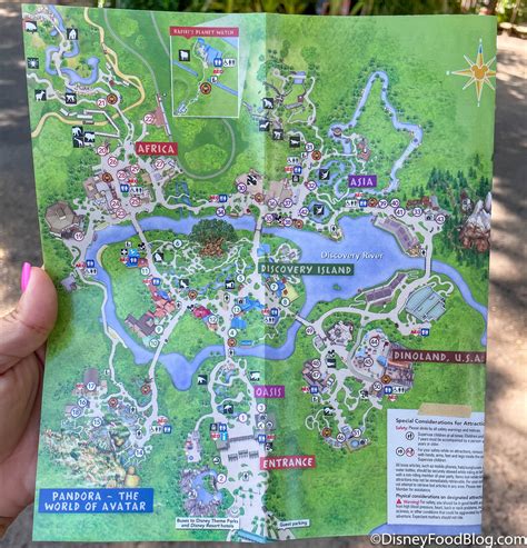 PHOTOS: See Animal Kingdom’s NEW Park Map - Disney by Mark